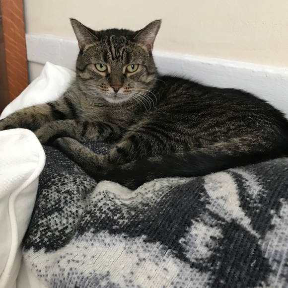 Meet your Posher, Sanddra - Picture 7 of 16